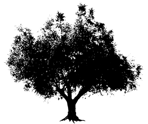 Rosanna Olive Estate logo